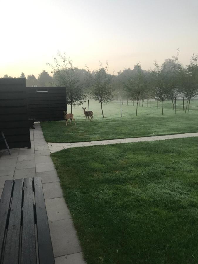 Beach&bos * Oostvoorne